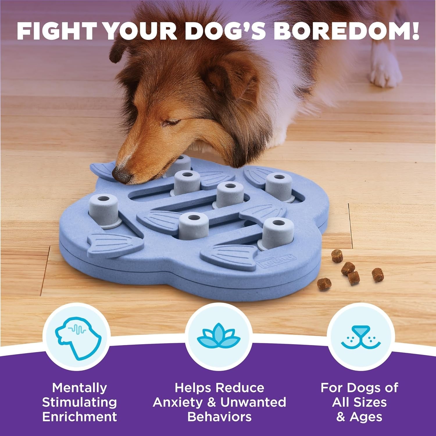 Dog Puzzle Interactive Treat Puzzle Dog Enrichment Dog Toy, Level 2 Intermediate, Purple, Composite