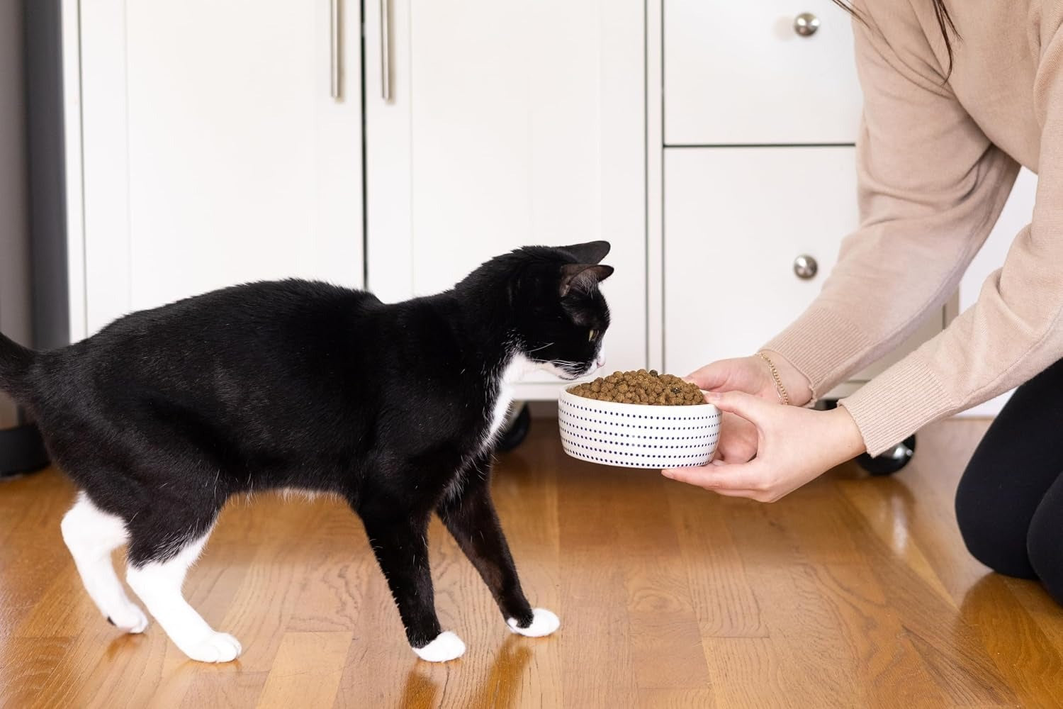 Ceramic Cat Bowl for Food and Water, Whisker Fatigue Shallow Wide Cat Food Bowl