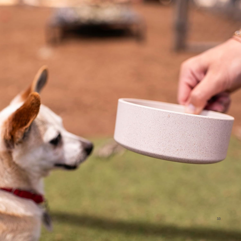 Eco-Friendly Pet Bowls & Dishes for Dog, Cats, Puppy Food and Water Dish -Sustainable and Dishwasher Safe