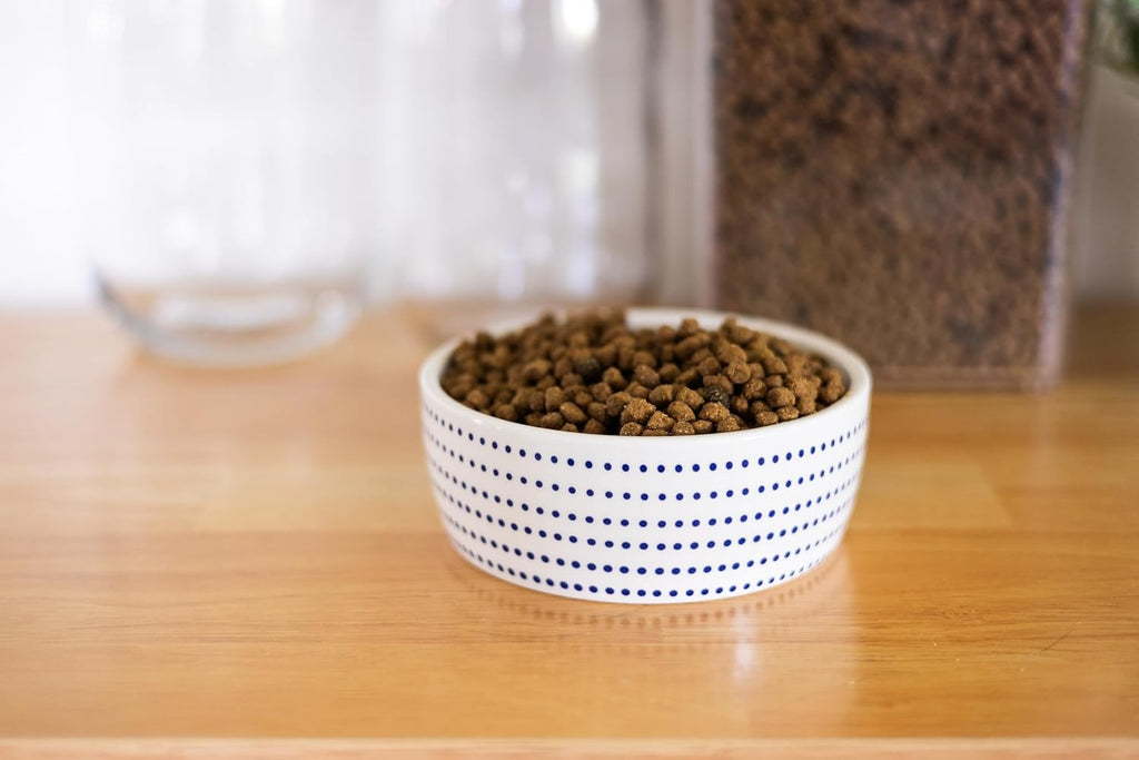 Ceramic Cat Bowl for Food and Water, Whisker Fatigue Shallow Wide Cat Food Bowl