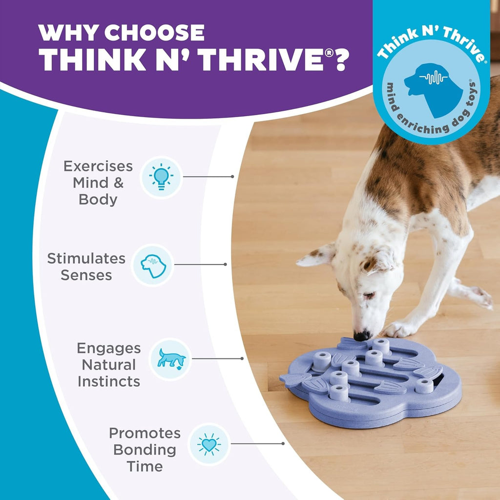 Dog Puzzle Interactive Treat Puzzle Dog Enrichment Dog Toy, Level 2 Intermediate, Purple, Composite