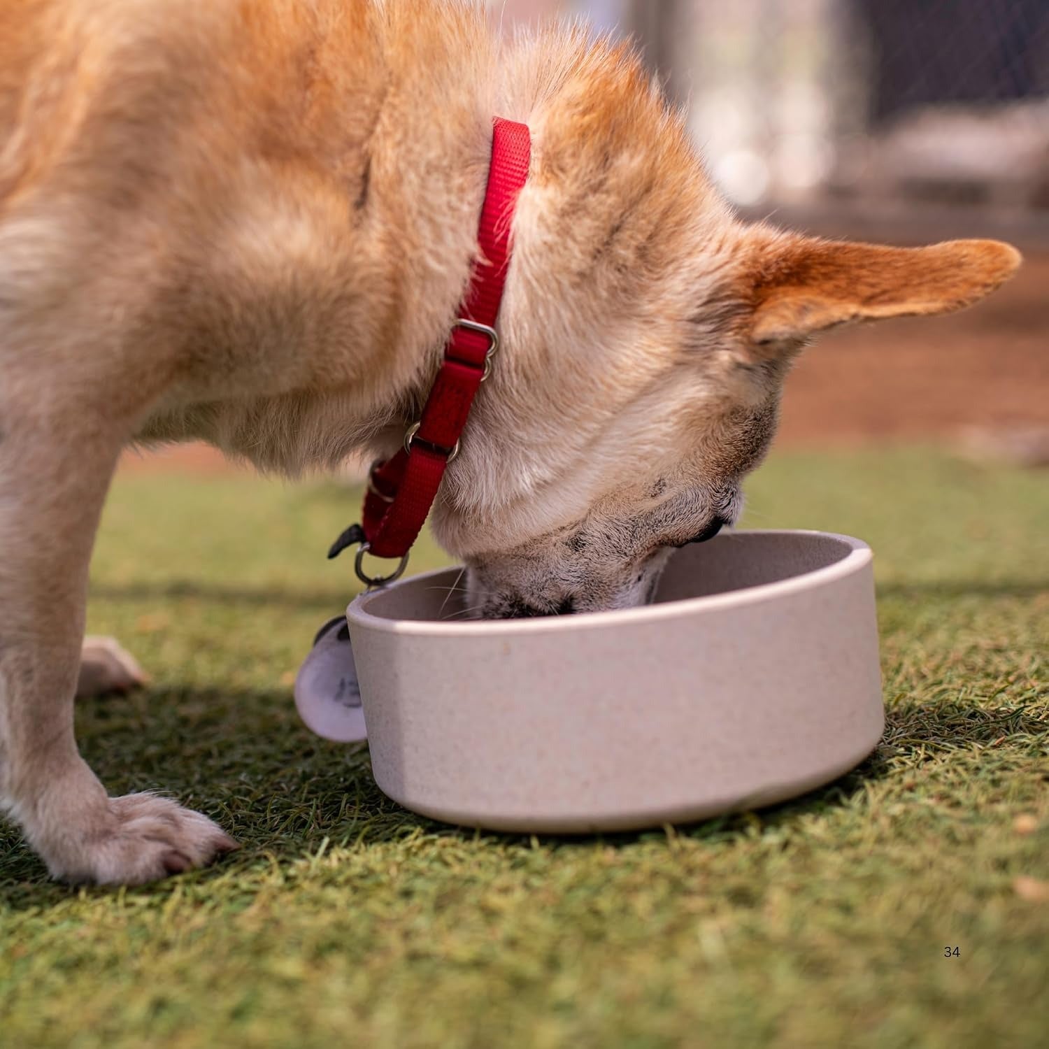 Eco-Friendly Pet Bowls & Dishes for Dog, Cats, Puppy Food and Water Dish -Sustainable and Dishwasher Safe