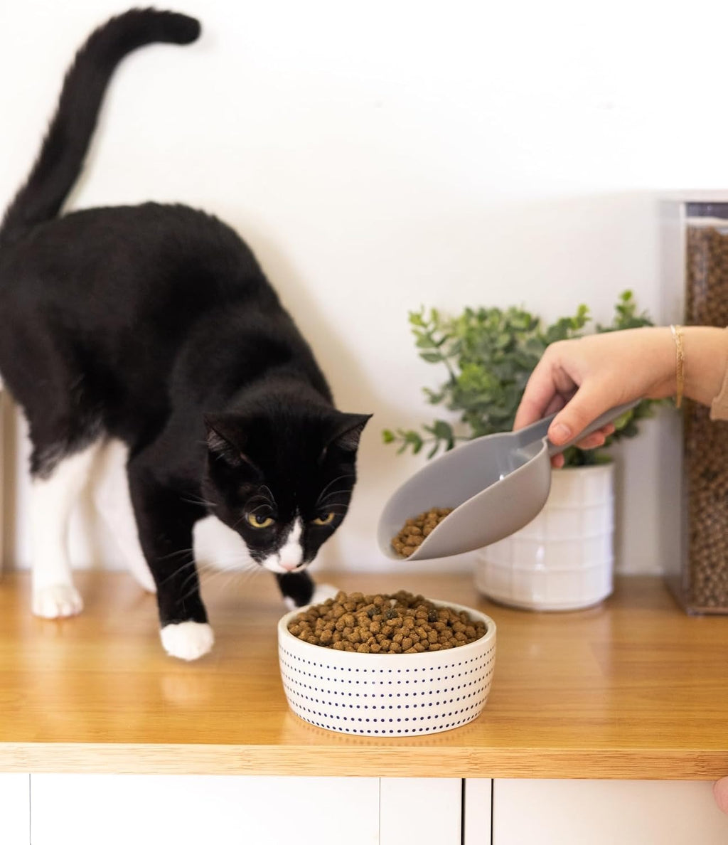 Ceramic Cat Bowl for Food and Water, Whisker Fatigue Shallow Wide Cat Food Bowl