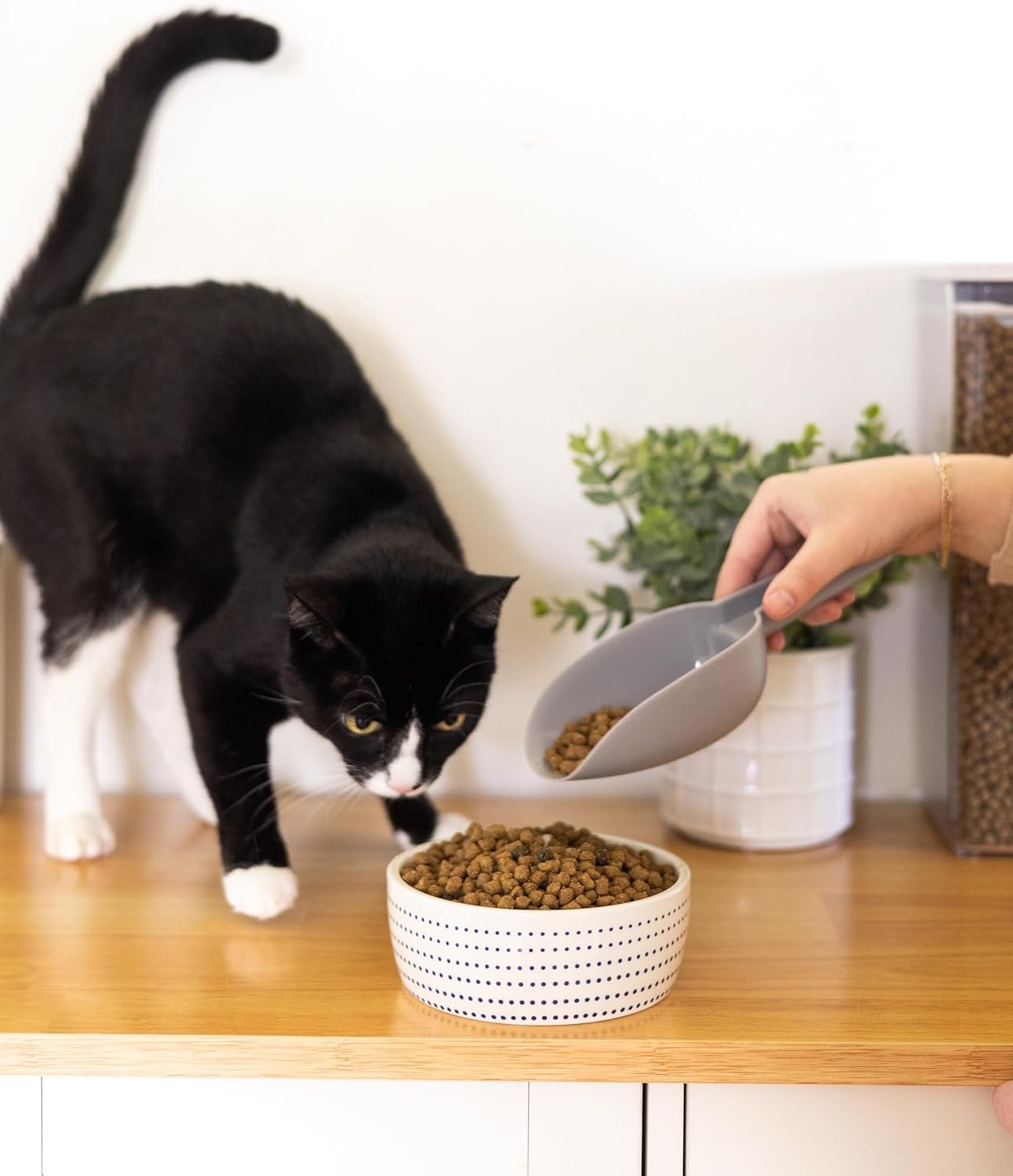 Ceramic Cat Bowl for Food and Water, Whisker Fatigue Shallow Wide Cat Food Bowl