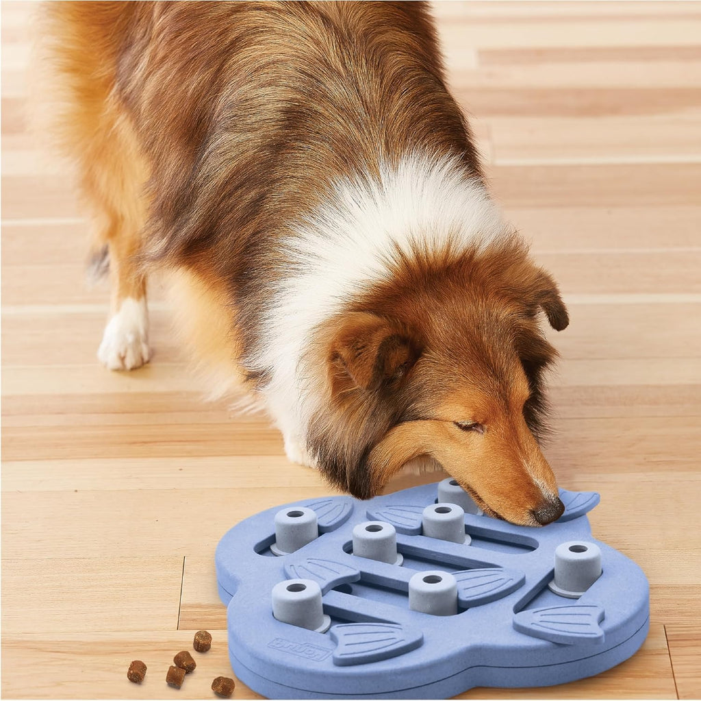 Dog Puzzle Interactive Treat Puzzle Dog Enrichment Dog Toy, Level 2 Intermediate, Purple, Composite